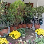 Akrata Golden House Daire Aigeira
