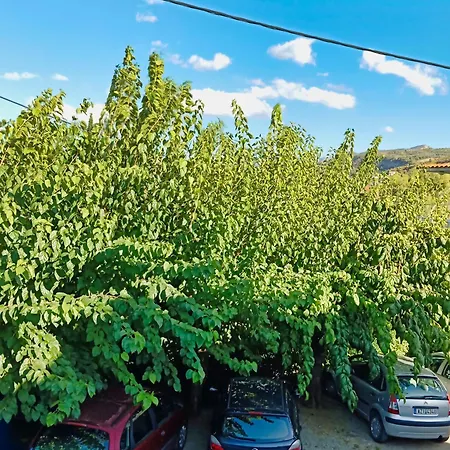 Akrata Golden House Διαμέρισμα *