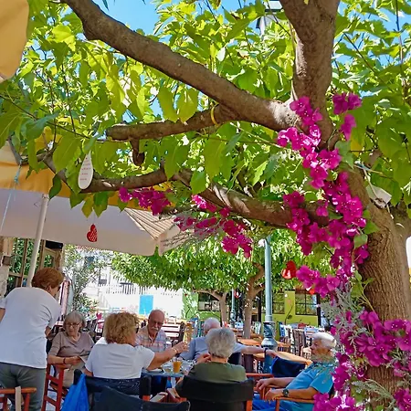 Akrata Golden House Διαμέρισμα *