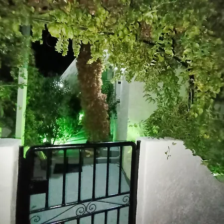 Akrata Golden House Διαμέρισμα