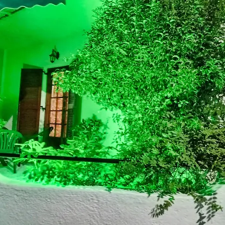 Akrata Golden House Διαμέρισμα *