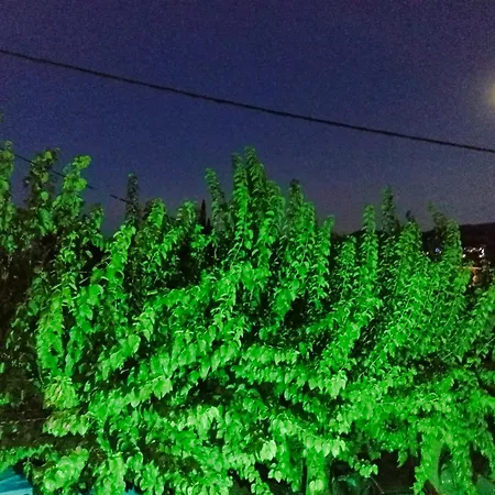 Akrata Golden House * Aigeira