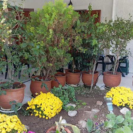 Akrata Golden House Appartement Aigeira