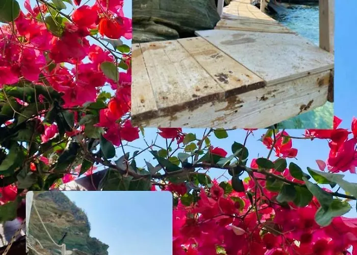 Akrata Golden House Apartamento