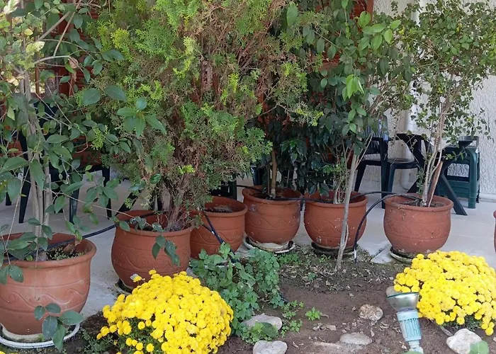 Akrata Golden House Appartement Aigeira